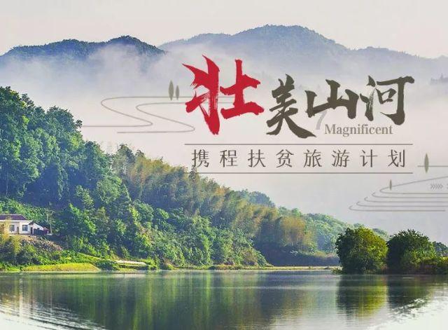 春节聚会喝什么酒?肆拾玖坊泰斗酒无论自饮还是送礼都有里有面儿