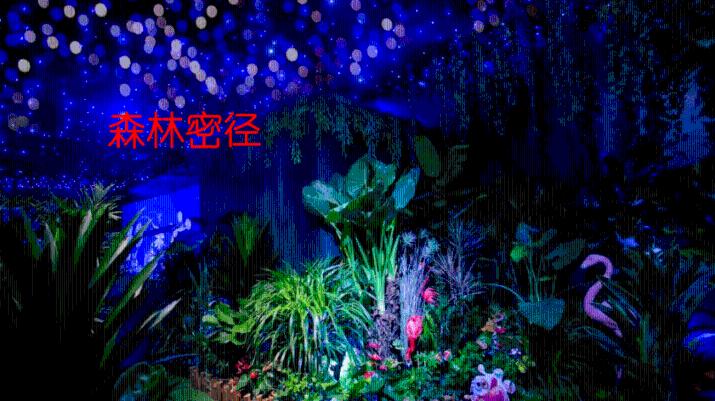 兰博基尼填颜色